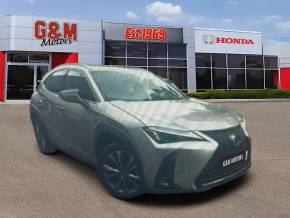 LEXUS UX at G&M Motors Gravesend
